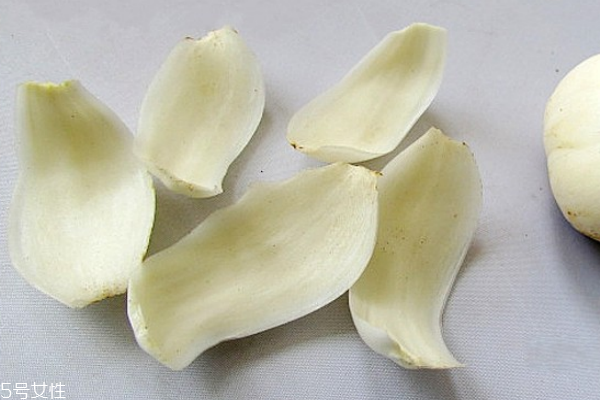 干百合需要泡发吗(干百合需要泡发吗)