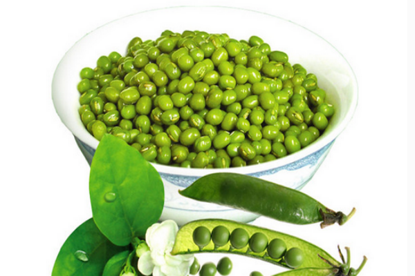 绿豆汤是热性还是凉性(绿豆汤是热性还是凉性对身体?) 绿豆汤是热性还是凉性(绿豆汤是热性还是凉性对身体?)