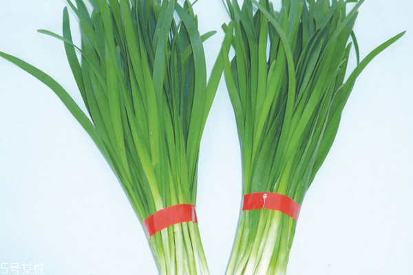 韭菜的药用价值(韭菜的药用价值和食用方法)