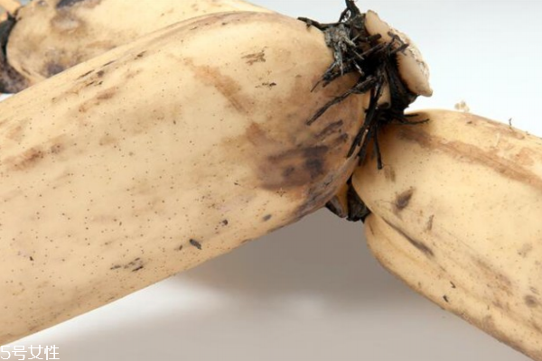 鄂莲一号莲藕怎么样(鄂莲10号藕图片)