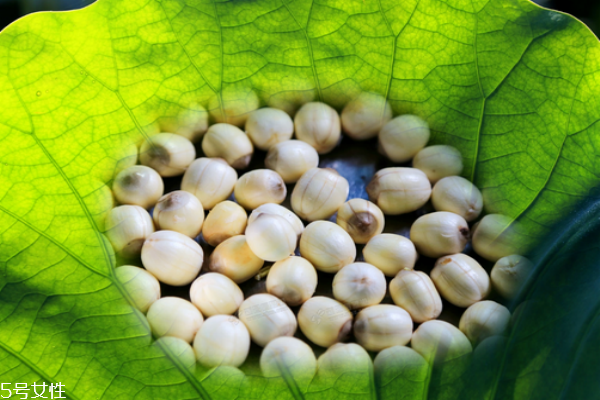 莲子是红的好还是白的好(莲子白色的好还是红色的好)