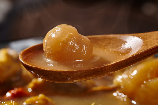 瑶柱小知识(瑶柱有什么用)