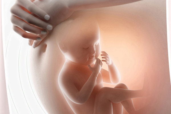 40天有胎心胎芽正常吗(怀孕40天有胎心胎芽正常吗) 40天有胎心胎芽正常吗(怀孕40天有胎心胎芽正常吗)