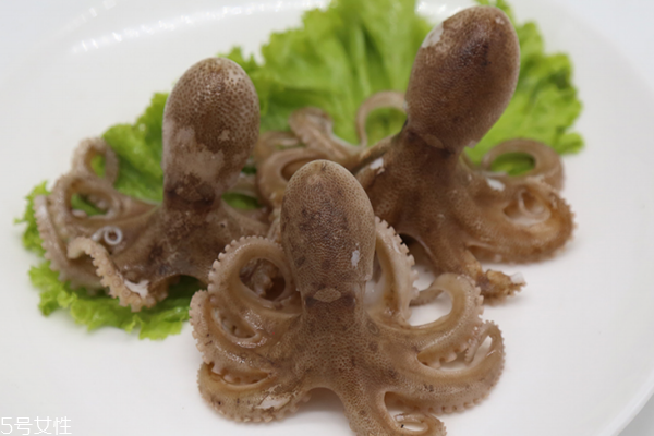 章鱼的营养价值(章鱼的营养价值及功效)