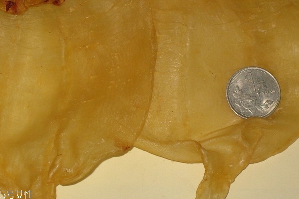 鱼胶浸泡具体的方法(普通鱼胶如何浸泡) 鱼胶浸泡具体的方法(普通鱼胶如何浸泡)