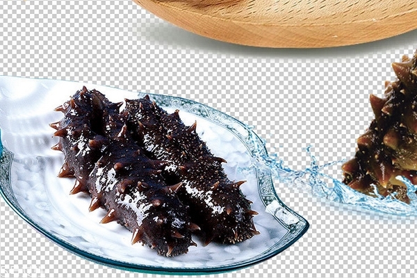 海参和什么煲汤好(海参和什么煲汤比较好)