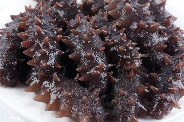 海参是发物吗(海参是发物吗?什么病不适合吃海参)