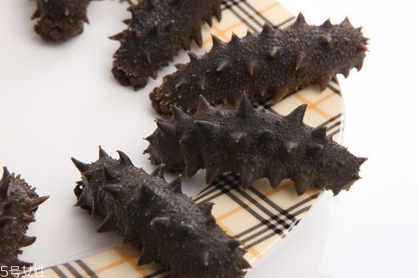 海参的适宜人群(海参适合什么样的人群吃)