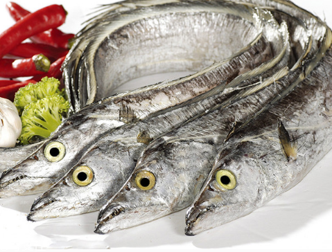 带鱼使用注意事项(挑选带鱼注意事项)