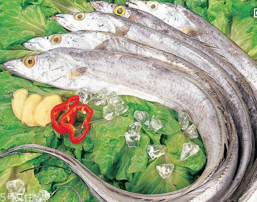 带鱼的营养价值(带鱼的营养价值及功效)