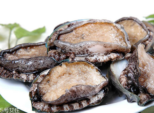 哪些人不能吃鲍鱼(哪些人不可以吃海参)