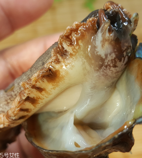 鲍鱼的内脏不能吃(鲍鱼的内脏不能吃吗) 鲍鱼的内脏不能吃(鲍鱼的内脏不能吃吗)