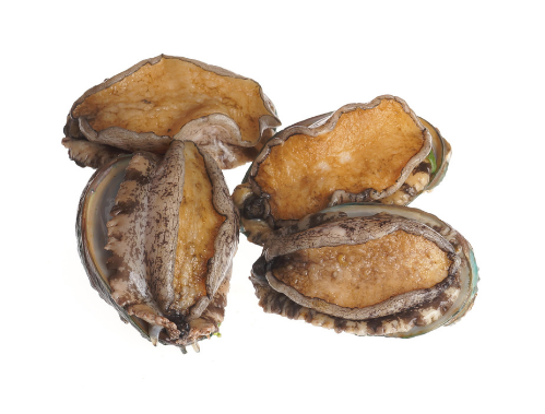 鲍鱼一天最多吃几个(鲍鱼一天最多吃几个)