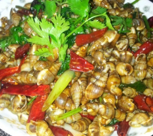 吃海螺的注意事项(吃海螺的注意事项) 吃海螺的注意事项(吃海螺的注意事项)