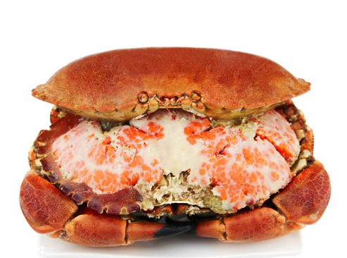 面包蟹和梭子蟹的区别(面包蟹和梭子蟹哪个好吃)