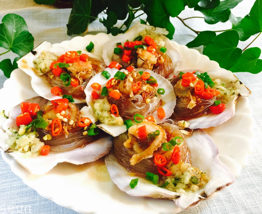 扇贝和生蚝哪个比较贵(生蚝和扇贝哪个贵一点)