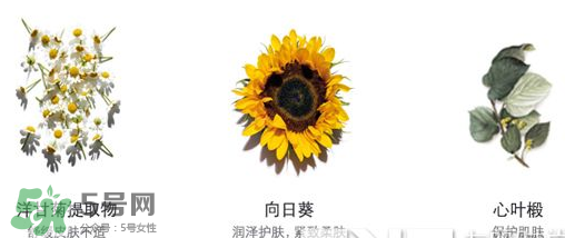 娇韵诗黄水和绿水成分区别(娇韵诗黄水和绿水的区别)