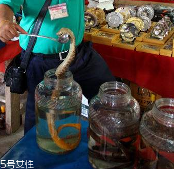 药酒什么时候喝最好(药酒什么时候喝最好?一次喝多少?)