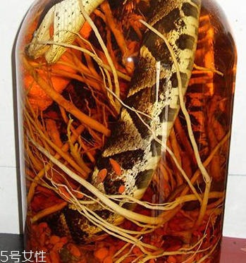 药酒小知识(药酒有什么用) 药酒小知识(药酒有什么用)