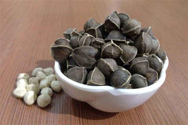 辣木籽的常见吃法(辣木籽的正确吃法)