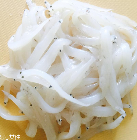 鲜银鱼VS干银鱼哪个更好(银鱼干和鲜银鱼哪个好) 鲜银鱼VS干银鱼哪个更好(银鱼干和鲜银鱼哪个好)