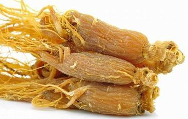 红参的服用宜忌(红参服用禁忌)