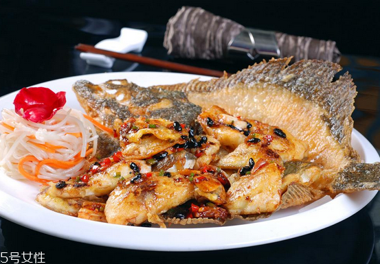 多宝鱼小知识(多宝鱼的禁忌)