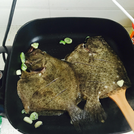 多宝鱼小知识(多宝鱼的禁忌) 多宝鱼小知识(多宝鱼的禁忌)