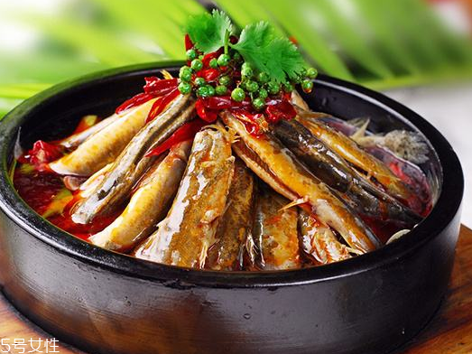 泥鳅小知识(泥鳅小知识)