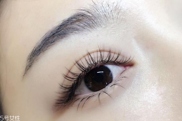 睫毛短怎么刷睫毛膏(睫毛短怎么刷睫毛膏视频)
