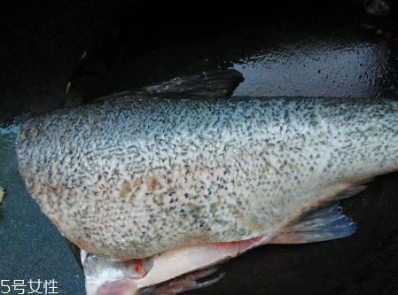 水疗素和发膜的区别(水疗素和发膜的区别)