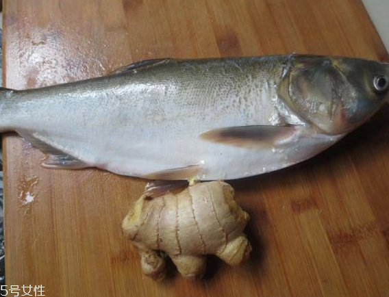 润发乳和发膜的区别(润发乳和发膜的区别在哪)