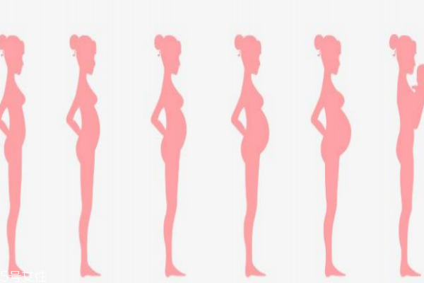 怀孕初期孕吐的原因(孕初期孕吐是什么原因)