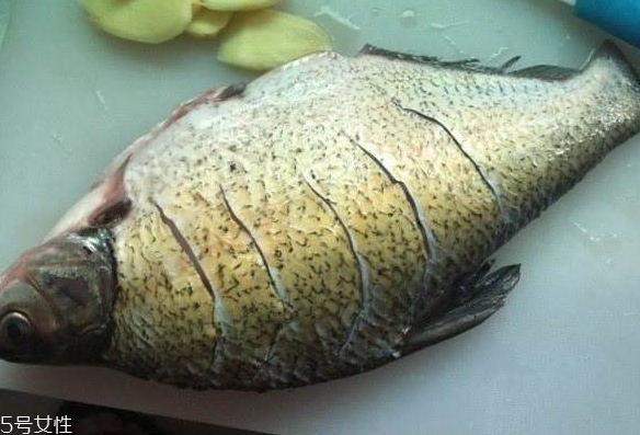 巧去鳊鱼鱼腥味(鮰鱼去腥味)