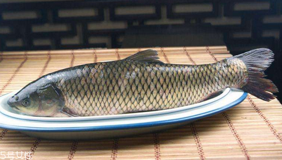 青鱼和草鱼哪个好吃(青鱼怎样做好吃)