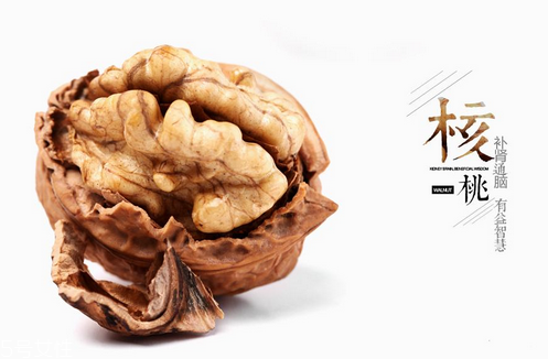 核桃油的营养价值(核桃油的营养价值和功效)