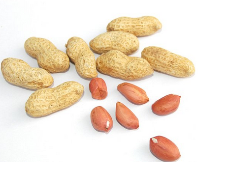 花生油的贮藏措施(花生油储藏的方法)