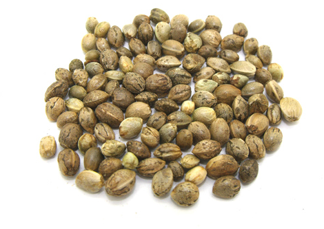 火麻油怎么吃(火麻油怎么吃效果最好) 火麻油怎么吃(火麻油怎么吃效果最好)