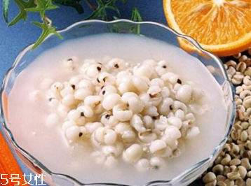 薏仁的功效和作用(薏仁的功效和作用的功能和主治)