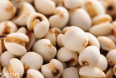 薏仁的种类有哪些(薏仁是什么种类)