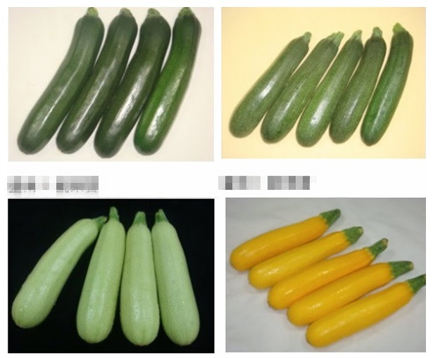 中国西葫芦品种(西葫芦有多少品种)