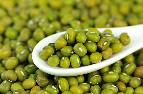 绿豆的事宜人群(绿豆不适宜人群)