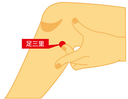 【足三里】(足三里的准确位置图片)