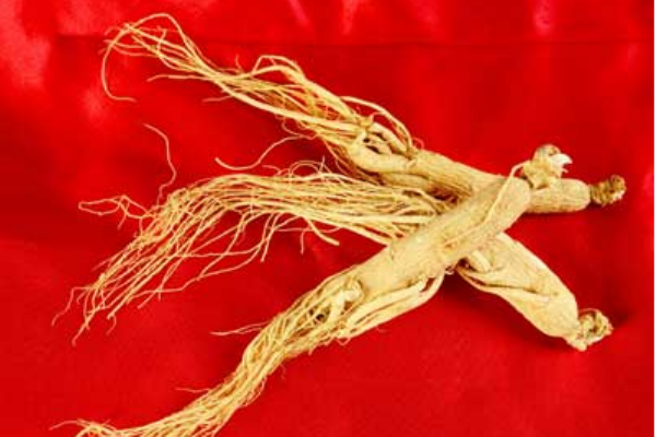 哪种体质的人群适合服用人参(人参适合什么体质的人服用)