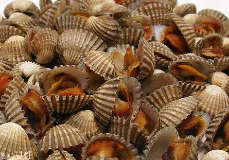血蛤的食用价值(血蛤营养价值及功效百科)