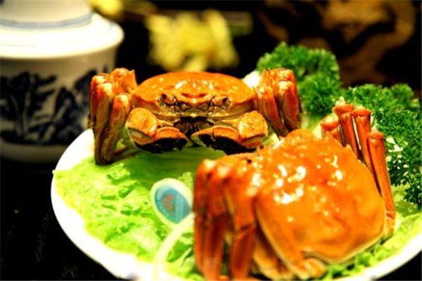 螃蟹一次最多吃几只(螃蟹一次最多吃几只?)