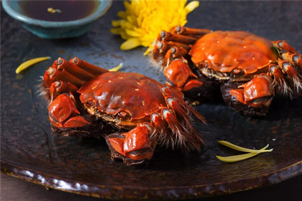螃蟹买回来后怎么保存(螃蟹买回来后怎么保存48小时)