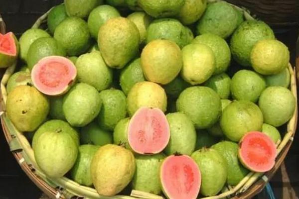 番石榴有什么营养价值(番石榴的营养价值)