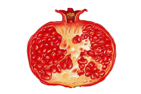 石榴对胃好吗(石榴对胃好吗?)