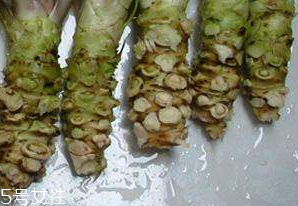 山葵的食用禁忌(山葵的食用禁忌)